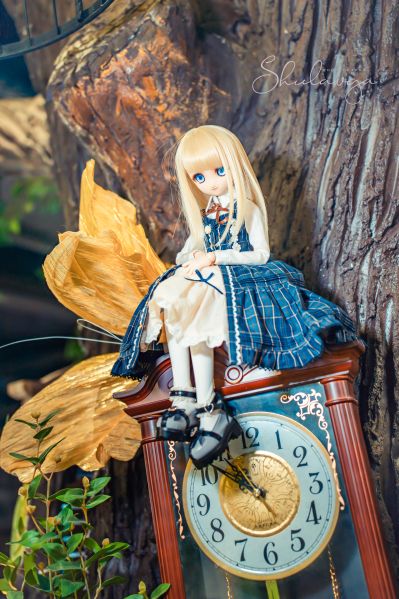 Dollfie Dream  DD 库特wafter 能美库特