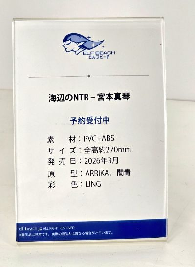 海边的NTR - 宫本真琴