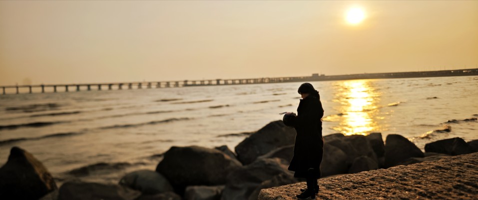 S.H.Figuarts 新·假面骑士 假面骑士第2+1号 / 一文字隼人