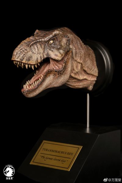 1/15雌性暴龙头像