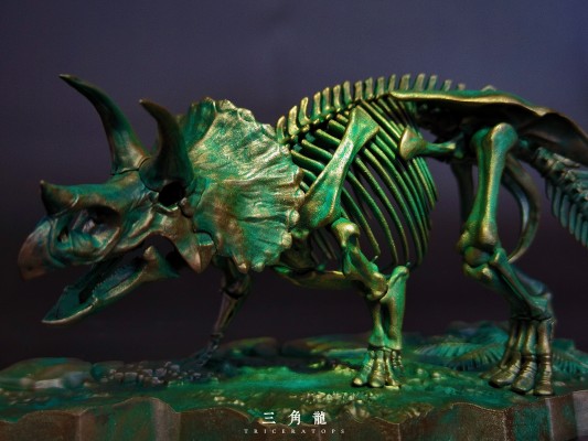 幻想骨架  三角龙