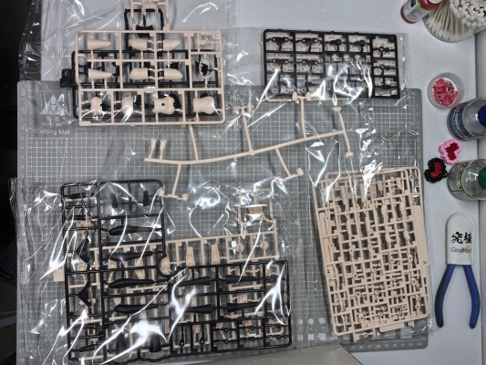 创彩少女庭园 装扮素体【M】 配色C