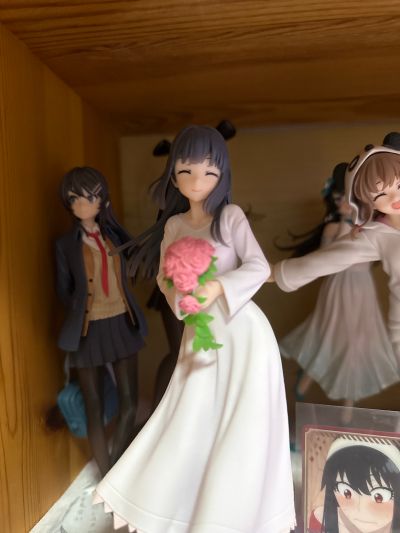 Coreful 青春猪头少年不会梦到怀梦美少女 牧之原翔子（TAITO限定）