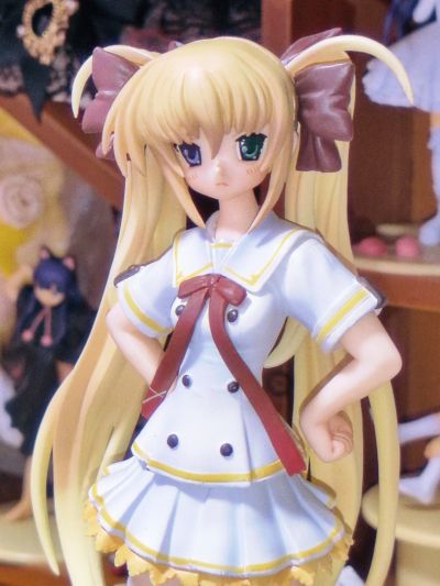 ほしフル－星藤学園天文同好会－ 星川瑠歌 