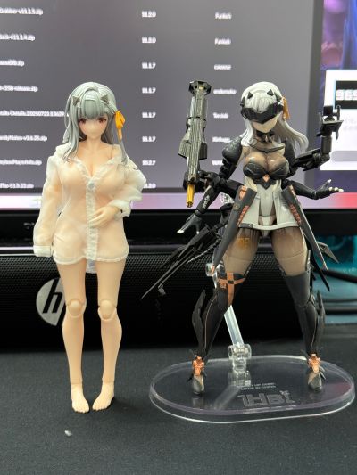 Hyper Body 胜利女神：妮姬 神罚