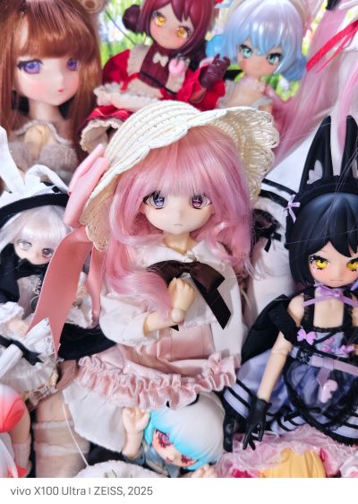 北国之蛾 双子 白桑与灰叶