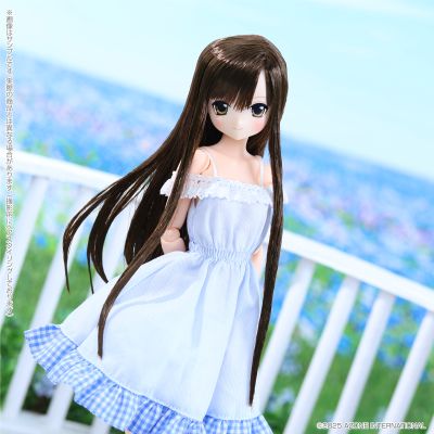 POD020-LCD Sarah's a la Mode 理世/甜蜜时光穿搭套装 ～暗棕色头发～(AZONE网上商店限定)