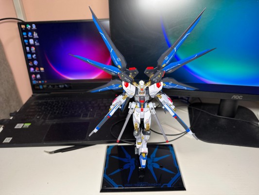 METAL ROBOT魂 ＜机动战士系列＞ 强袭自由高达 [Re:Coordinate]