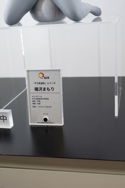 战姬绝唱 XV 玛丽亚·卡登扎夫娜·伊芙