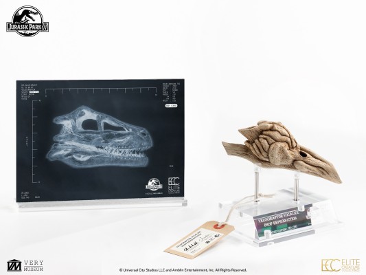 迅猛龙共鸣腔-道具复制品