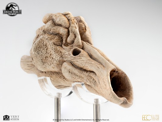 迅猛龙共鸣腔-道具复制品