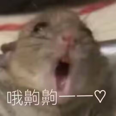 胜利女神：新的希望 神罚 初次的爱恋