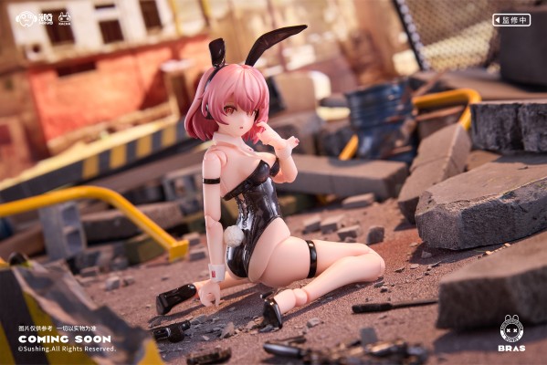 「兔子快速反应小队」——突击手 • 蓓尔嘉BELKA