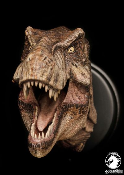 1/15雌性暴龙头像