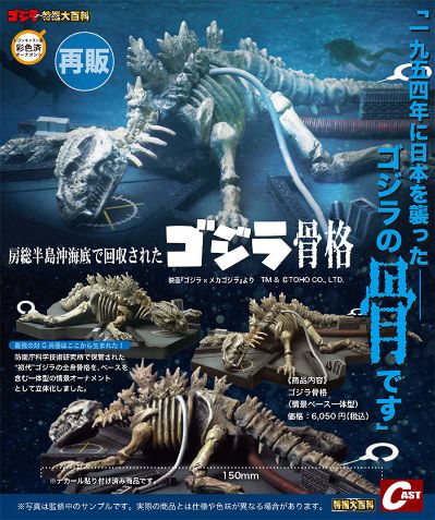 在房总半岛近海回收的哥斯拉骨骼