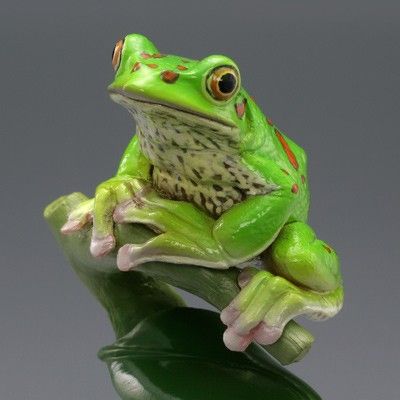 水上精灵 #2-004 森林树蛙