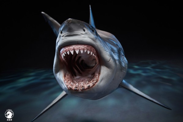 1/18比例大白鲨PVC手办