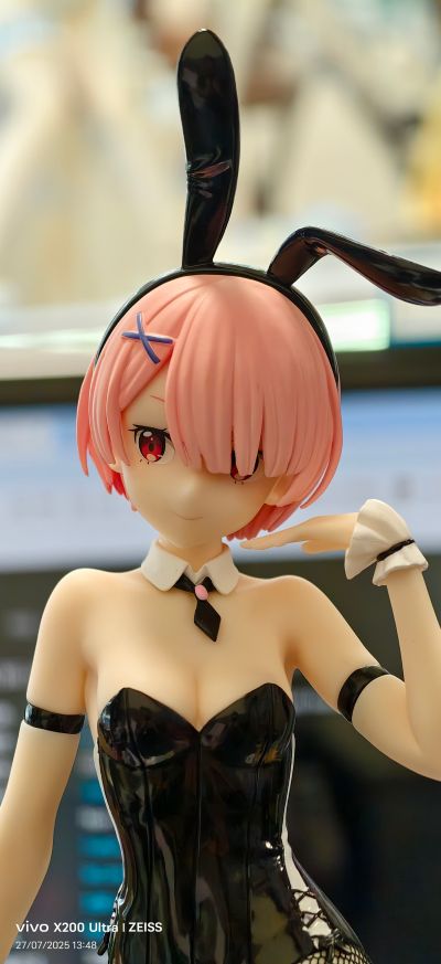 BiCute Bunnies Re：从零开始的异世界生活 拉姆·bicolor