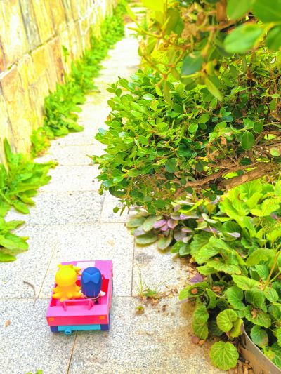 HELLO! GOOD SMILE 潘迪与史朵巾 with See-Through