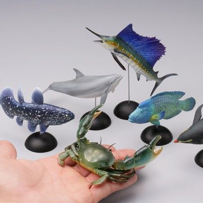 水上精灵#1-004 跳岩企鹅