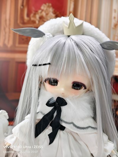 北国之蛾 双子 白桑与灰叶