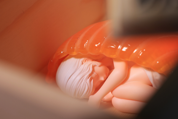 寿司少女 三文鱼