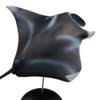 水上精灵 #2-002 鳐鱼（蝠鲼）