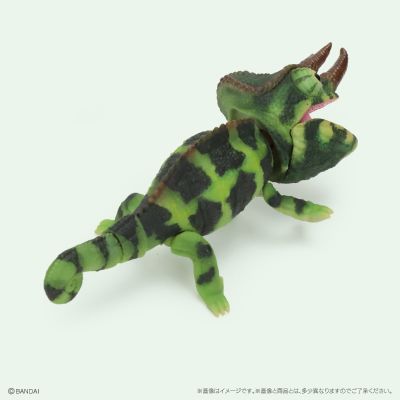 生物大图鉴 爬行类 变色龙