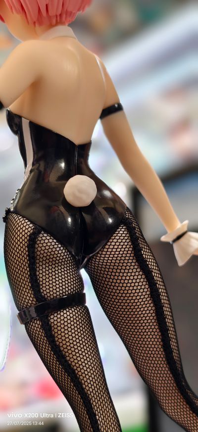 BiCute Bunnies Re：从零开始的异世界生活 拉姆·bicolor