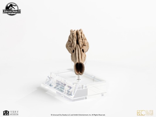 迅猛龙共鸣腔-道具复制品