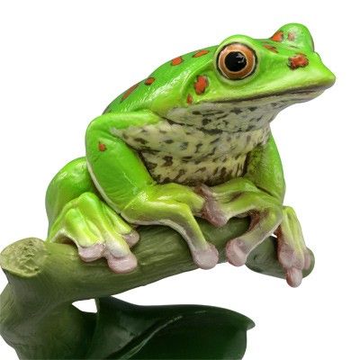 水上精灵 #2-004 森林树蛙