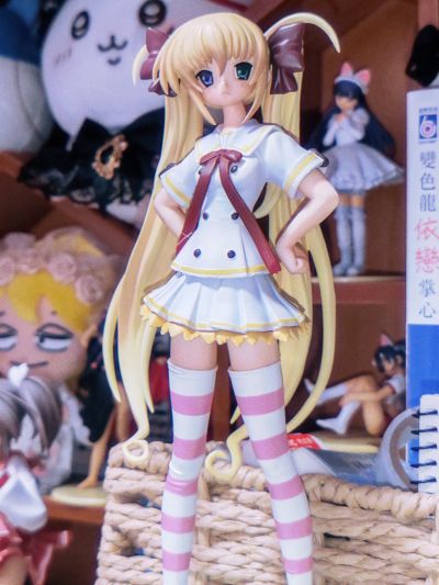 ほしフル－星藤学園天文同好会－ 星川瑠歌 