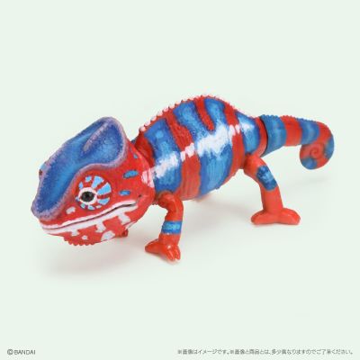 生物大图鉴 爬行类 变色龙