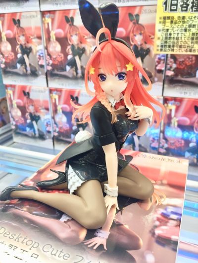 Desktop Cute 五等分的新娘＊ 中野四叶〜兔女郎〜