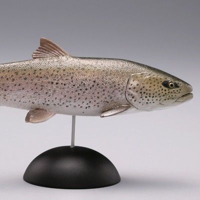 水上精灵 #2-006 远东哲罗鲑鱼