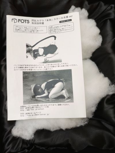 未来 死库水ver.