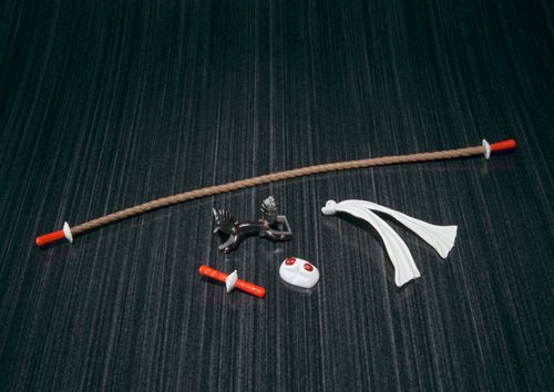 S.H.Figuarts 假面骑士亚马逊