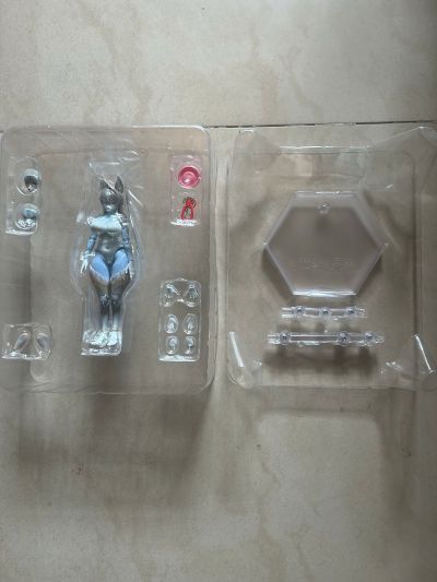 魅兽的果实 森雪紫音