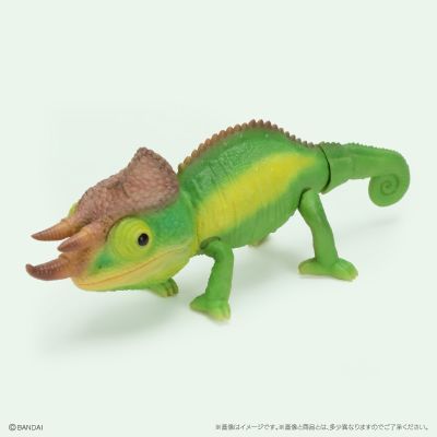 生物大图鉴 爬行类 变色龙