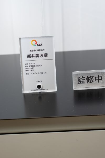 战姬绝唱 XV 玛丽亚·卡登扎夫娜·伊芙