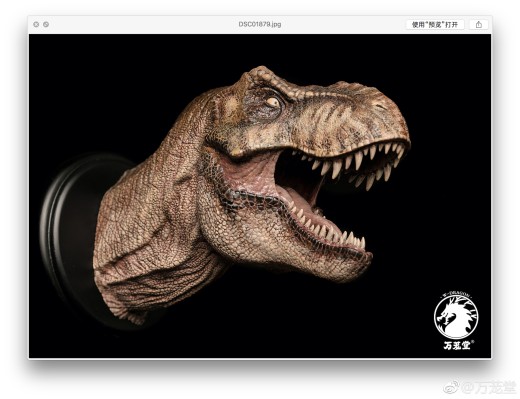 1/15雌性暴龙头像