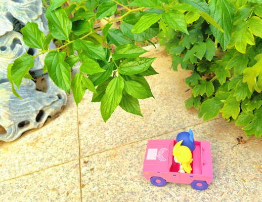 HELLO! GOOD SMILE 潘迪与史朵巾 with See-Through