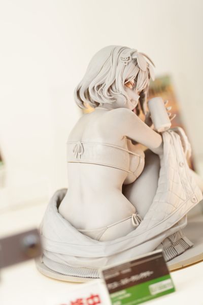 胜利女神：新的希望 阿妮斯：闪耀夏日