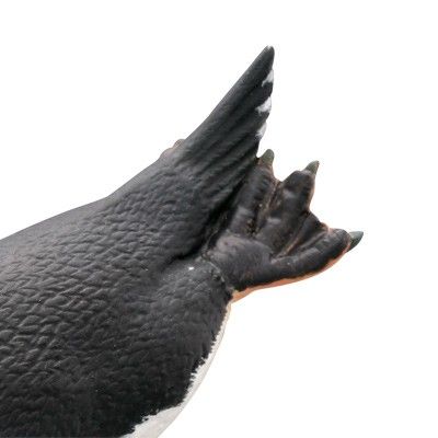 水上精灵#1-004 跳岩企鹅