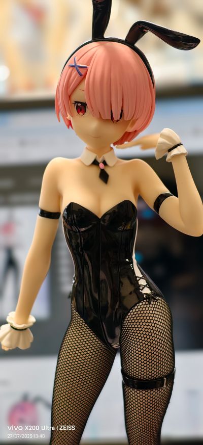 BiCute Bunnies Re：从零开始的异世界生活 拉姆·bicolor