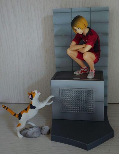 一番赏 排球少年!!〜新・ゴミ舍て场の决戦! 排球少年!! 日向翔阳 