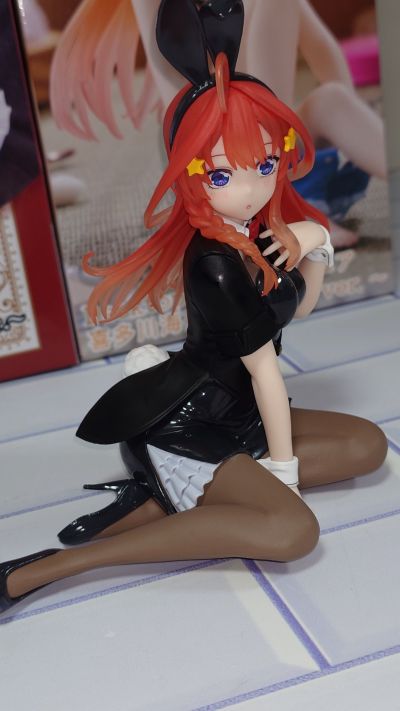 Desktop Cute 五等分的新娘＊  中野五月〜兔女郎〜