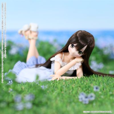 POD020-LCD Sarah's a la Mode 理世/甜蜜时光穿搭套装 ～暗棕色头发～(AZONE网上商店限定)