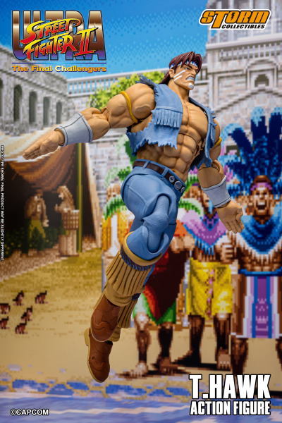 T·霍克 -  终极街霸2