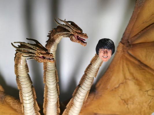 S.H.Figuarts 陈警官（警察故事）